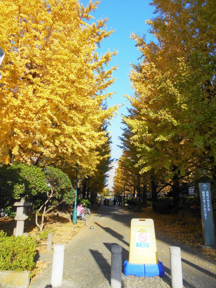金色の東京 その１ 山吹色に染まる街 トコトコ鳥蔵
