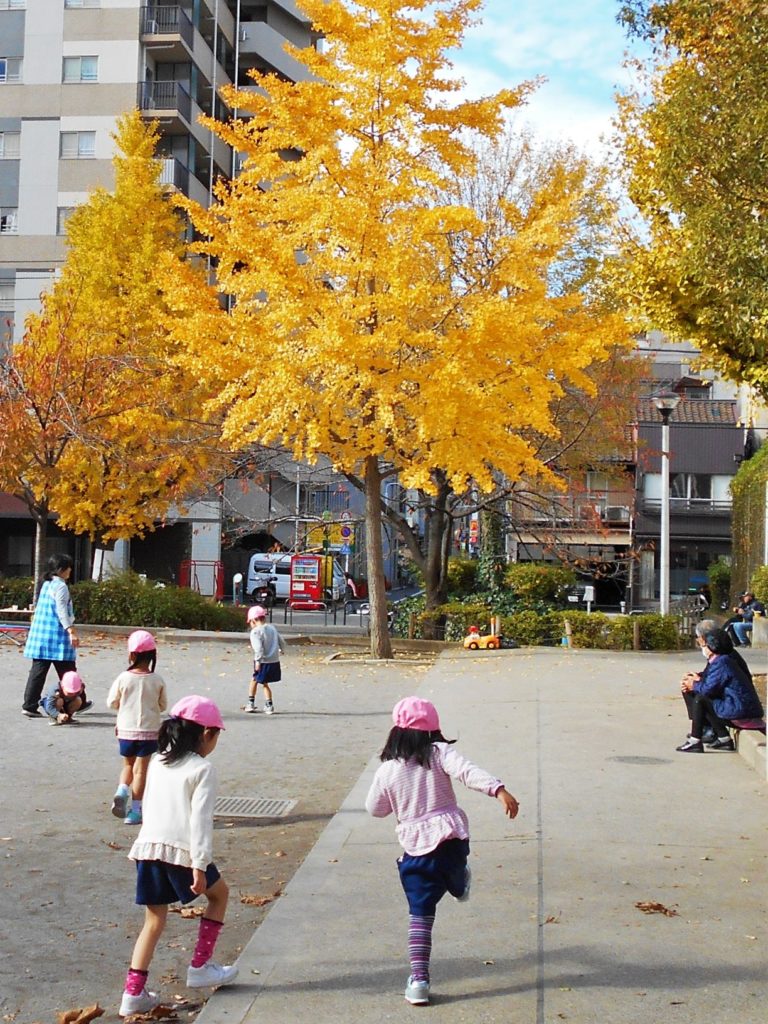 地域の隠れた黄葉スポット②竹町公園の画像。