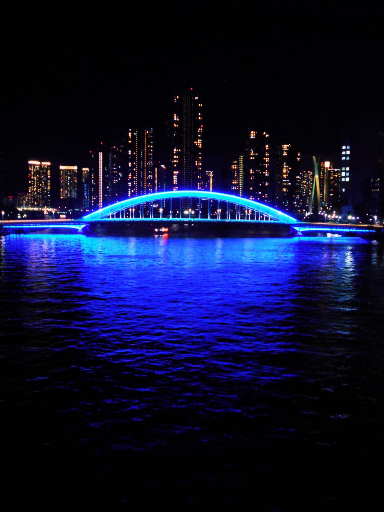 ライトアップされた永代橋と湾岸ビル群の画像。