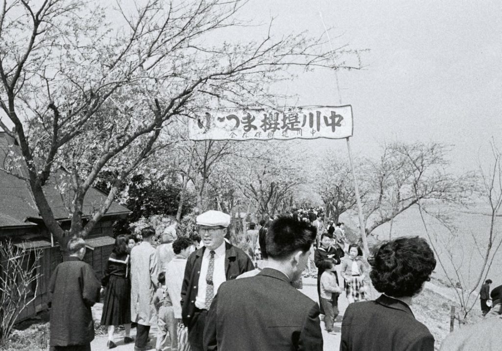 「中川堤の桜祭り」昭和32年（1957）の画像。