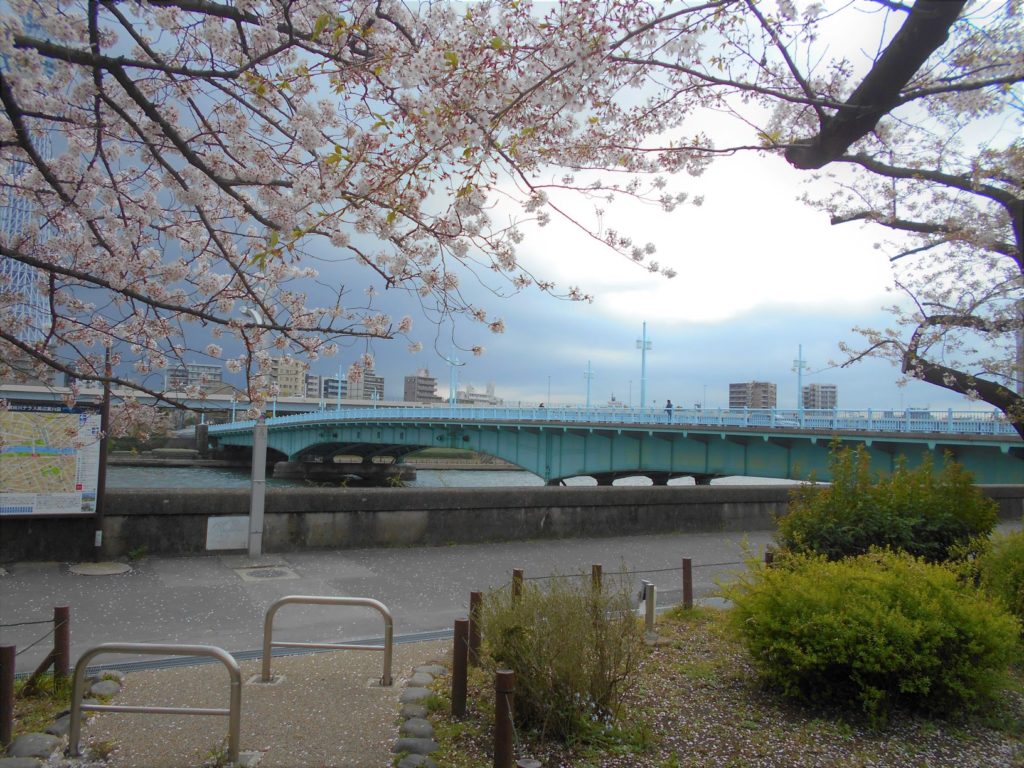 桜の頃の言問橋の画像。