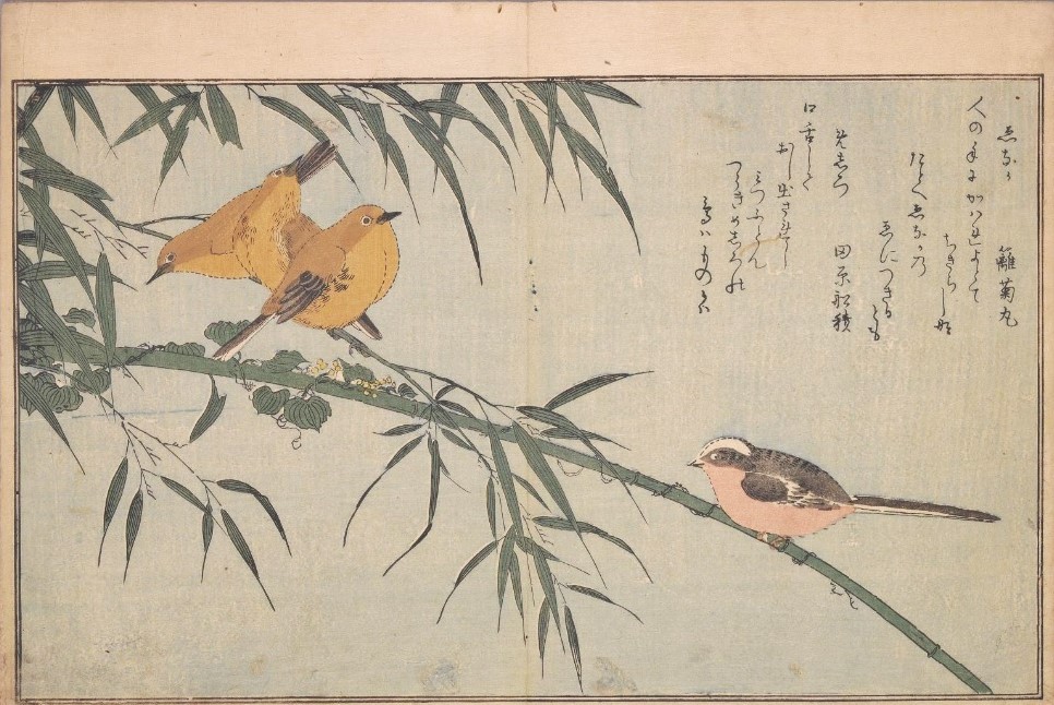 「絵本百千鳥（百千鳥狂歌合）」（赤松金鶏選、喜多川歌麿画（蔦屋重三郎、寛文2年（1790））国立国会図書館デジタルコレクション）の画像。