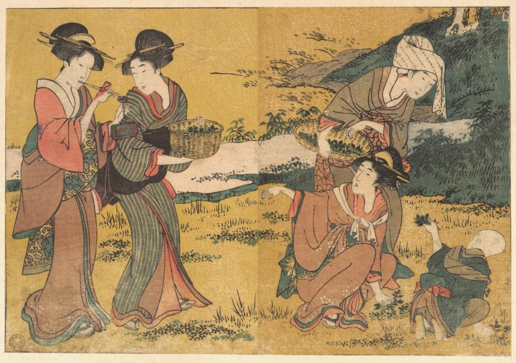 若菜摘（喜多川歌麿、メトロポリタン美術館）の画像。
