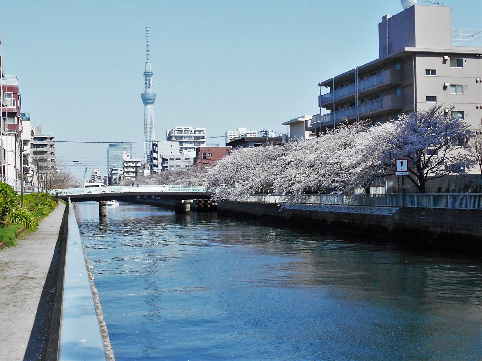大横川に架かる猿江橋と東京スカイツリーの画像。
