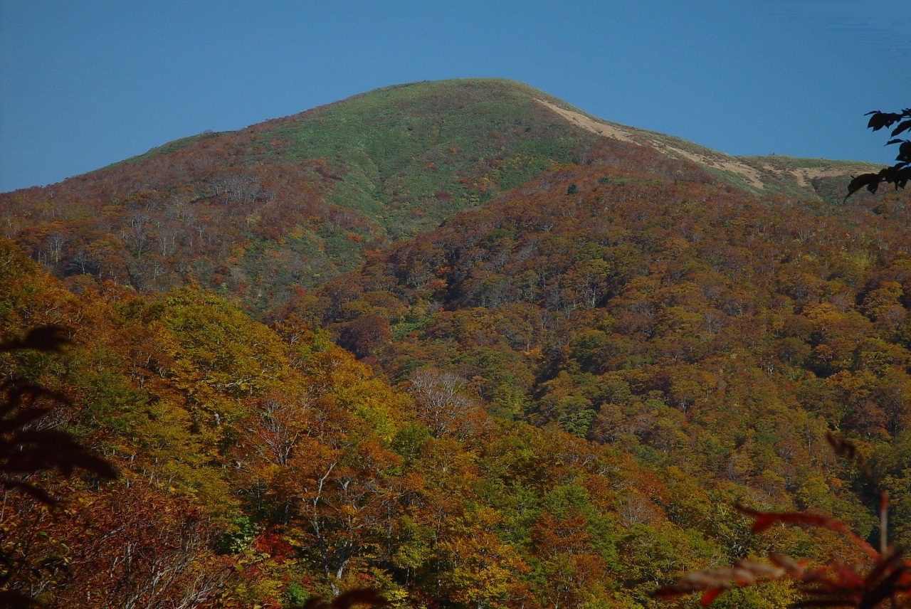 うさぎ平から望む赤兎山（Wikipediaより20211006ダウンロード）の画像。