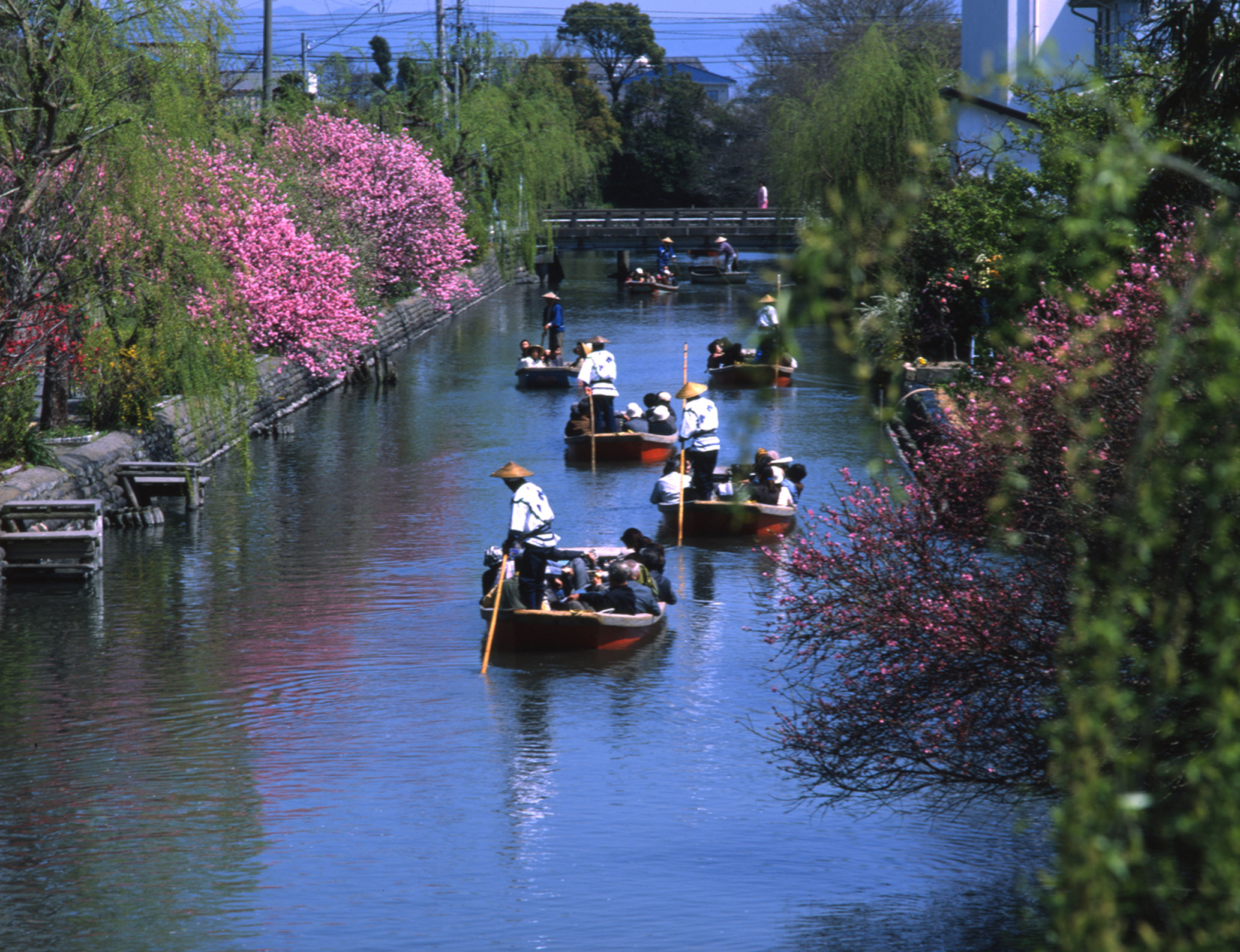 春の川下り（柳川市Webサイトより20211204ダウンロード）の画像。