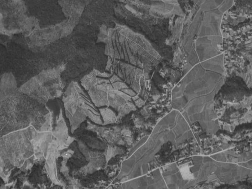 橘香園、昭和24年撮影空中写真（国土地理院Webサイトより、USA-M1243-A-27〔部分〕） の画像。