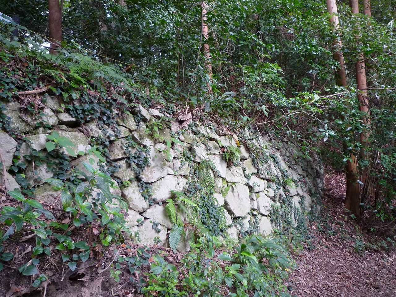 立花山城石垣（Heartoftheworld 撮影、Wikipediaより20211205ダウンロード）の画像。