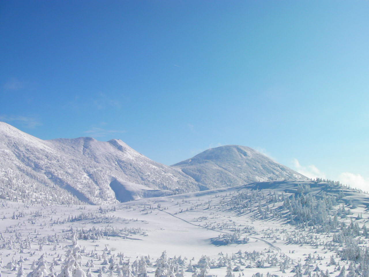 ロープウェイ山頂付近から見た冬の八甲田山（撮影者Richard Masoner、Wikipediaより20220208ダウンロード）の画像。