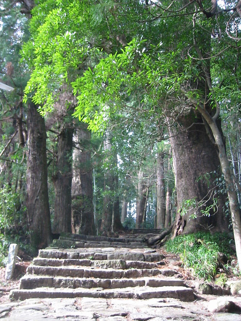 熊野古道（大門坂）（撮影者ＪＩＮＮ、Wikipediaより20220210ダウンロード）の画像。