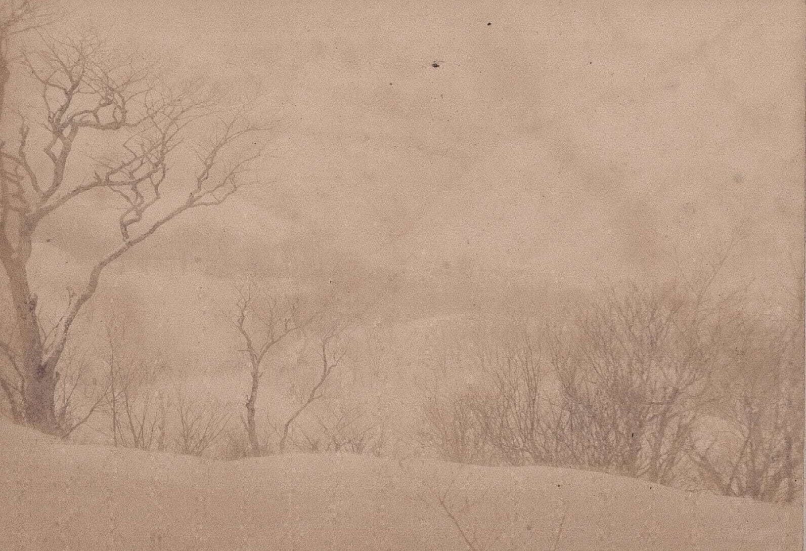 田代元湯付近（陸地測量部、1902　青森県立図書館デジタルアーカイブ ）の画像。