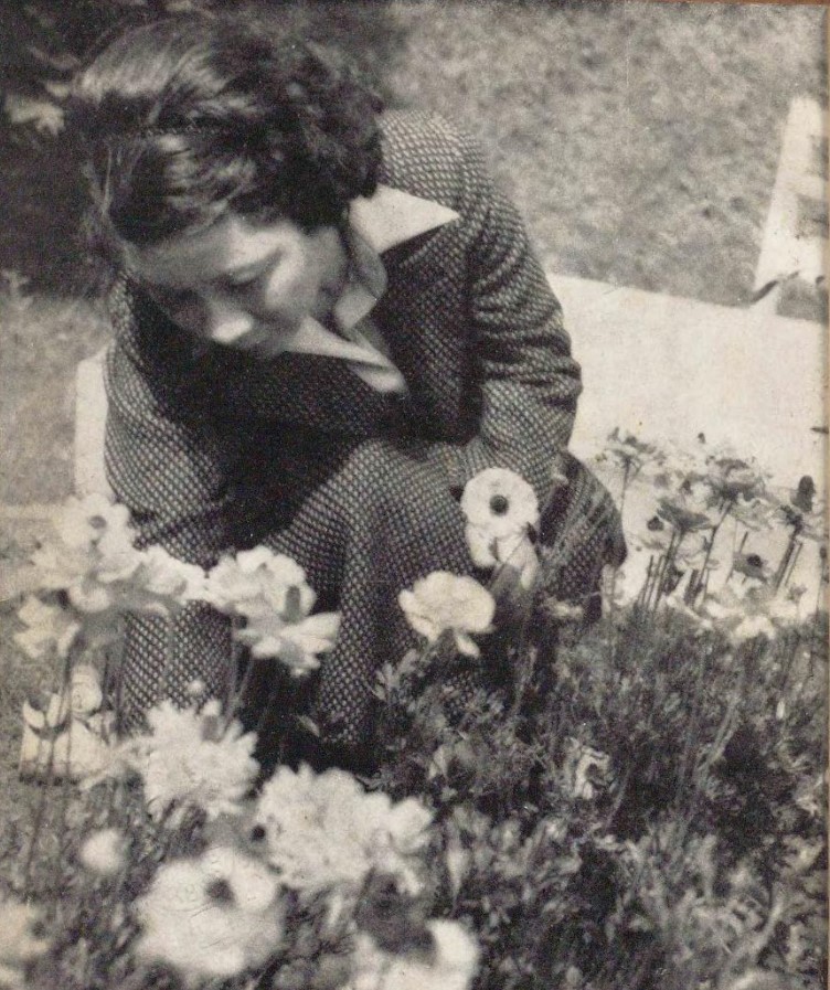 花を見る林芙美子（『一人の生涯：長編小説』林芙美子（創元社、1940）国立国会図書館デジタルコレクション）の画像。